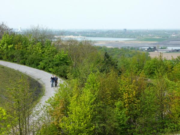 Blick auf einen Fußweg zur Halde Pattberg auf dem 2 Personen laufen