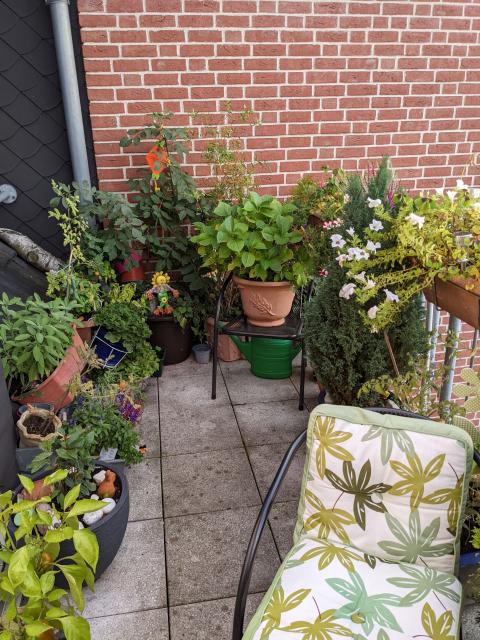 Ein Balkon mit mehreren Pflanzen.